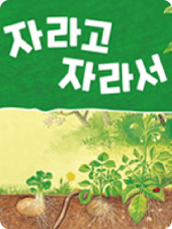 이미지8